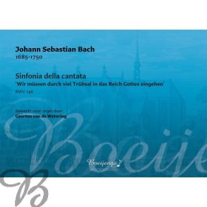 Sinfonia della cantata : Wir müssen durch viel Trübsal in das Reich Gottes eingehen BWV146
