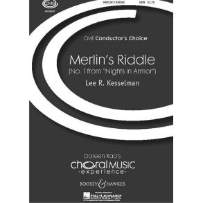 Nights in armor : No. 1 Merlin's riddle