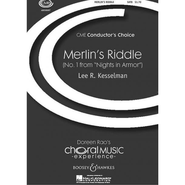 Nights in armor : No. 1 Merlin's riddle
