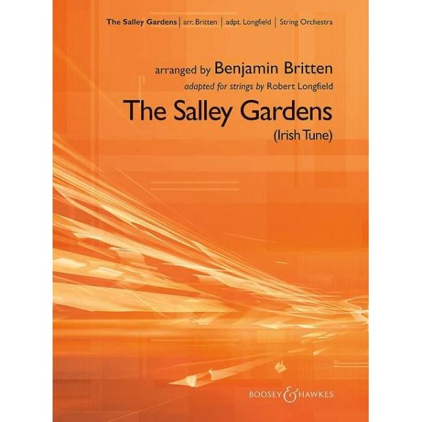 The Salley Gardens : Irish Tune