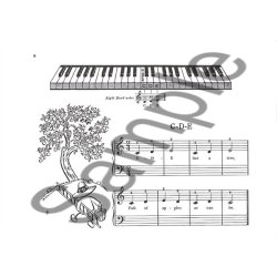 Music Lessons Have Begun