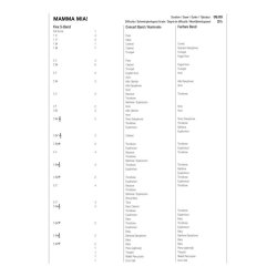Mamma Mia! (Selections from the Musical) : Mamma Mia - Dancing Queen - Fernando - The Winner Takes It All - Money, Money, Money