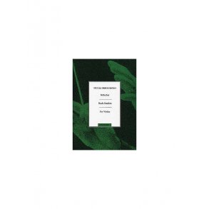 Kotscher, H 20 Bach Studies Vln