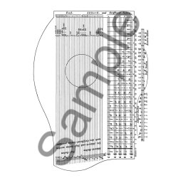 Carl F. Enslein: Theoretisch-Praktisch Zither-Schule - Teil 1