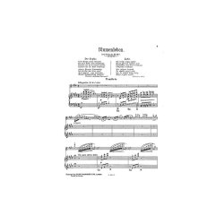 Jeno Hubay: Der Zephyr Op.30 No.5 (Violin/Piano)