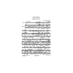 Franz Drdla: Hungarian Dances Op.30 No.4 'Hej Haj'