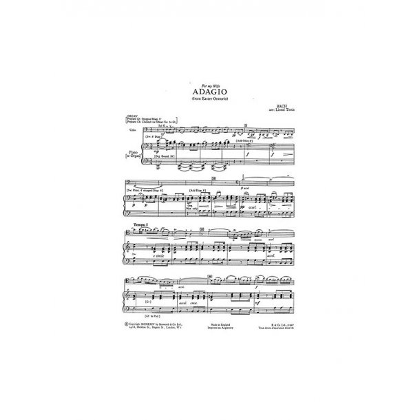 J.S Bach: Adagio From The Easter Oratorio (Cello/Piano)