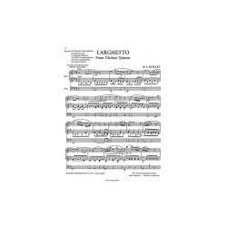 W. A. Mozart: Larghetto From Clarinet Quintet (Organ)
