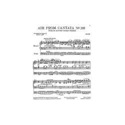 J.S. Bach: Air From Cantata No.208