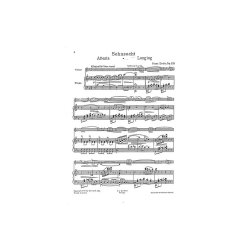 Franz Drdla: Sehnsucht Op.228