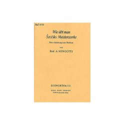 Anton Mingotti: Wie &Uuml;bt Man Sevciks Meisterwerke