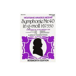 W.A. Mozart: Symphony In G Minor No.40 (1st Movement)