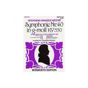 W.A. Mozart: Symphony In G Minor No.40 (1st Movement)