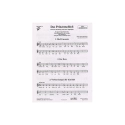 Prinzenschlo&szlig;, Das