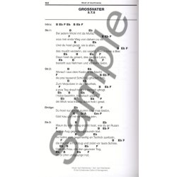 Best Of Austropop - 100 Unverzichtbare Hits (Texte Und Akkorde)