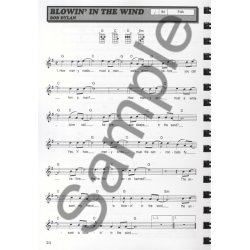 Hit Session Ukulele 2