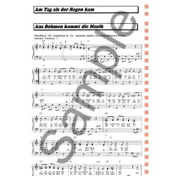 100 Hits In C-Dur: Band 2