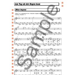 100 Hits In C-Dur: Band 2