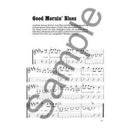 Happy Traum: The Blues Bag