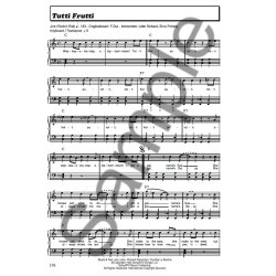 100 Hits In C-Dur: Band 3