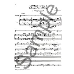 Geoffrey Bush: Concerto No.1