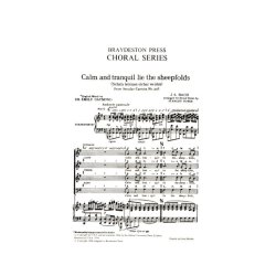 J.S. Bach: Calm And Tranquil Lie The Sheepfolds