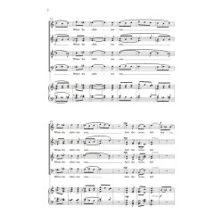 The Nativity Star : from the Cadenza volume 'The Nativity Star'