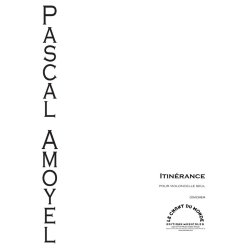 Pascal Amoyel: Itin&eacute;rance