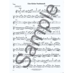 Playing With The Orchestra: Classics (Violin)