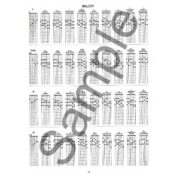 The Guitar Grimoire Book 2: Chords And Voicings