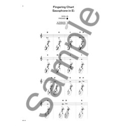 I Used to Play Alto Saxophone