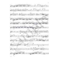 W. A . Mozart: The Magic Flutist - Volume 1