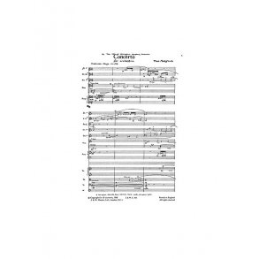 Thea Musgrave: Concerto For Orchestra (Full Score)