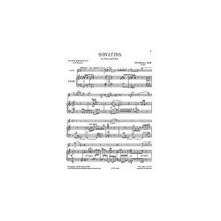 Nicholas Maw: Sonatina