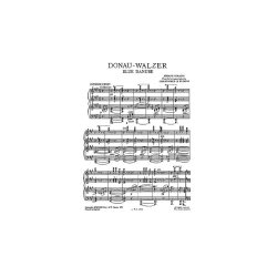 Johann Strauss II: The Blue Danube Waltz For Piano.