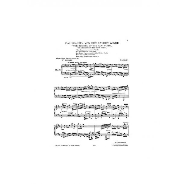 J.S.Bach/Walter Rummel: The Rushing Of The Raw Winds