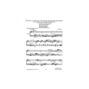 Bach: World Is Smoke (Piano)