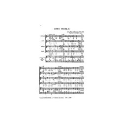 John IV Of Portugal: Crux Fidelis