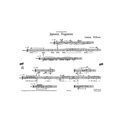 Graham Williams: Japanese Fragments