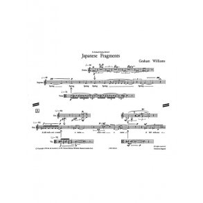 Graham Williams: Japanese Fragments