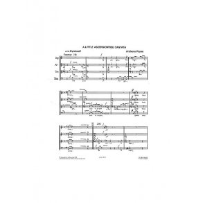 Anthony Payne: Little Ascensiontide Cantata for SATB Chorus