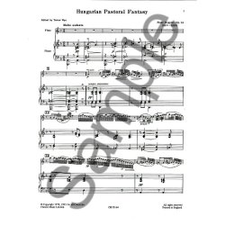Franz Doppler: Hungarian Pastoral Fantasy Op.26