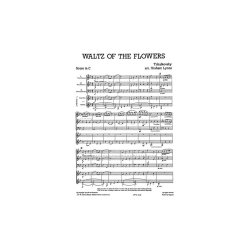 Mixed Bag No.1: Tchaikovsky - Waltz Of The Flowers (Score/Parts)