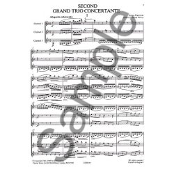 James Waterson: Second Grand Trio Concertante