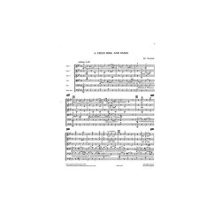 Playstrings Moderately Easy No. 3 Czech Song And Dance (Townsend)