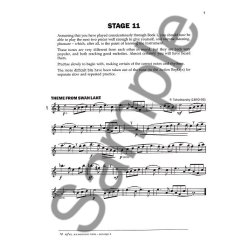 Take Up The Flute Book 2