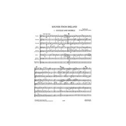 Playstrings Easy No. 12: Sounds From Ireland Score