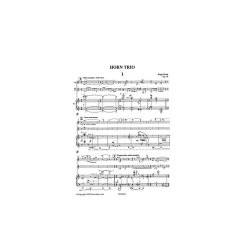 Hugh Wood: Horn Trio Op.29 (Score/Parts)