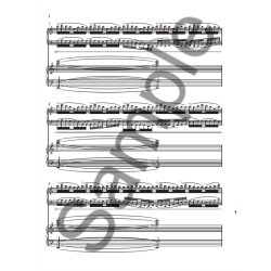 Michael Nyman: The Piano Concerto (2 Pianos)