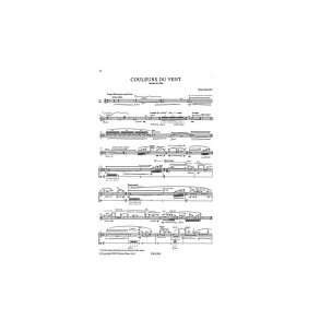 Kaija Saariaho: Couleurs Du Vent For Alto Flute
